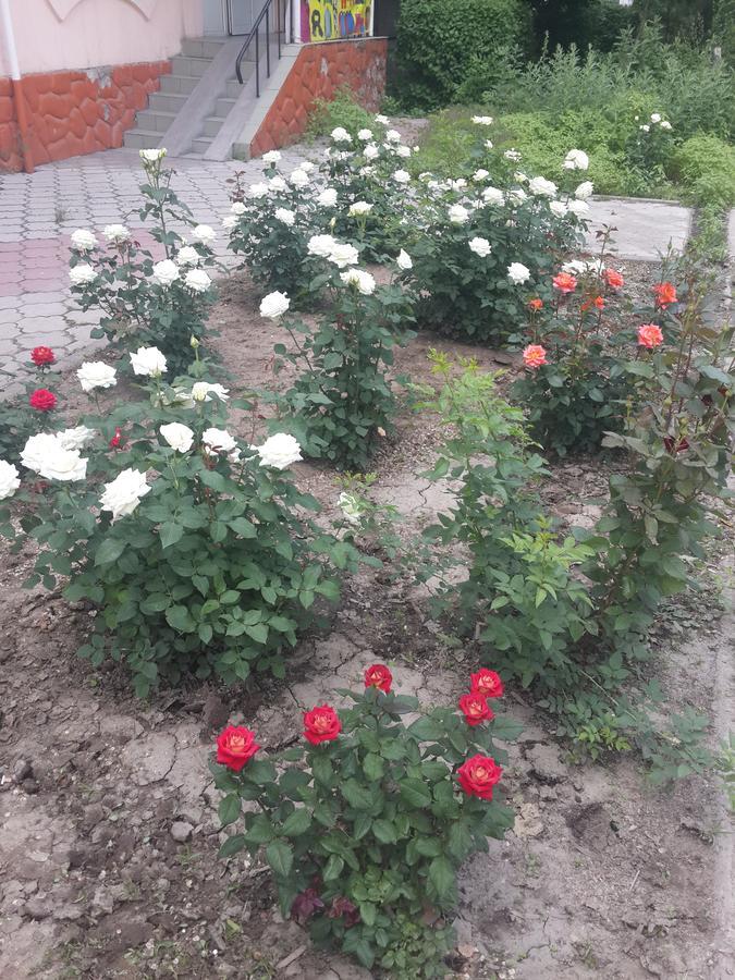Koktobe Fm Hostel Almaty מראה חיצוני תמונה